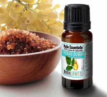 Huile essentielle Encens oliban promo